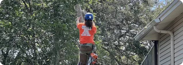 About Grand Oaks Property Maintenance