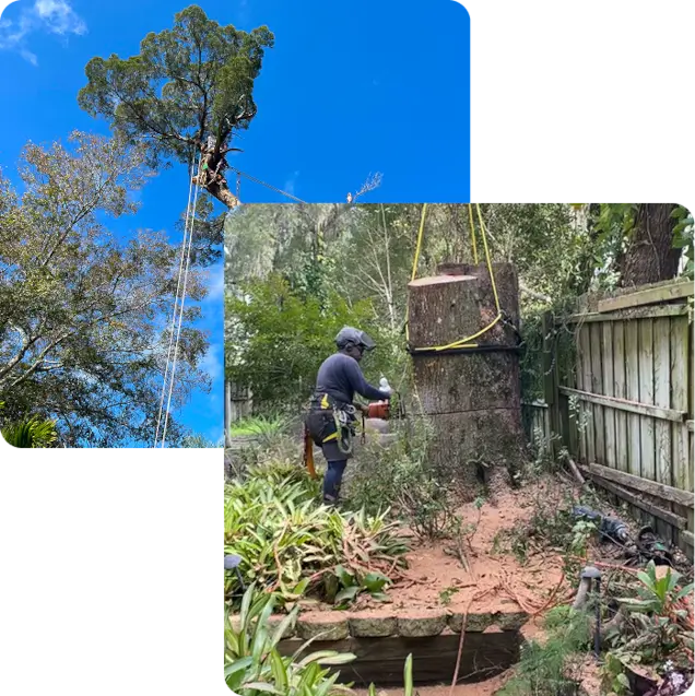 About Grand Oaks Property Maintenance