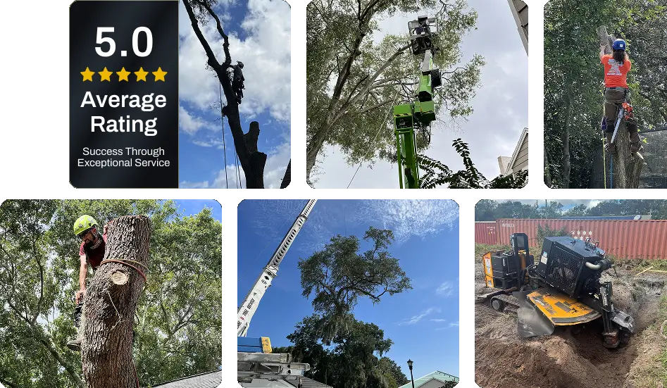 About Grand Oaks Property Maintenance