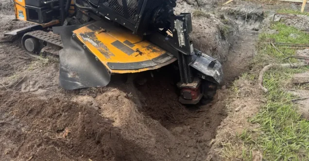 Stump Removal vs. Stump Grinding: Which Is Right for Your Tampa Bay Property?