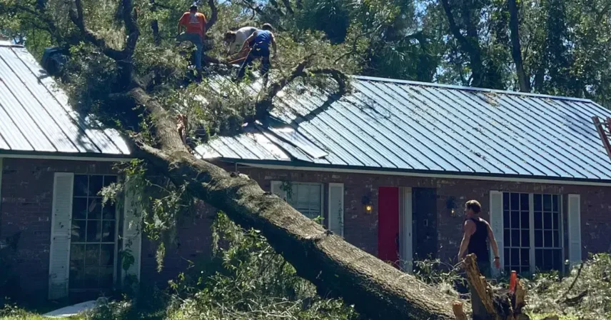Emergency tree service intervention after a hurricane