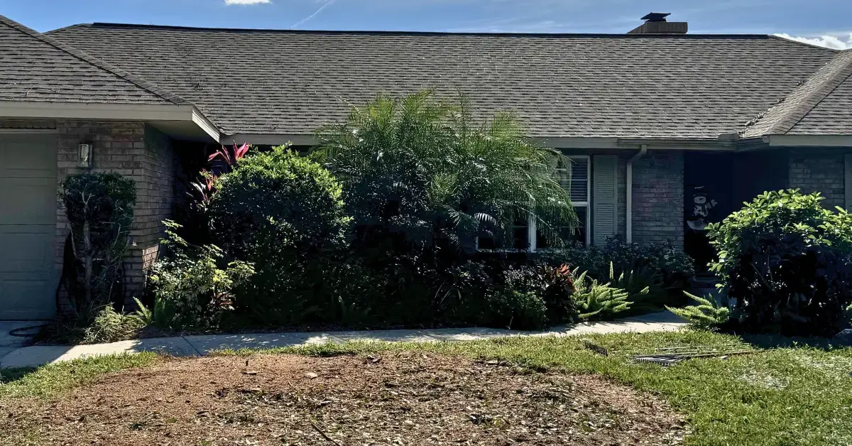 Shrub Trimming & Removal