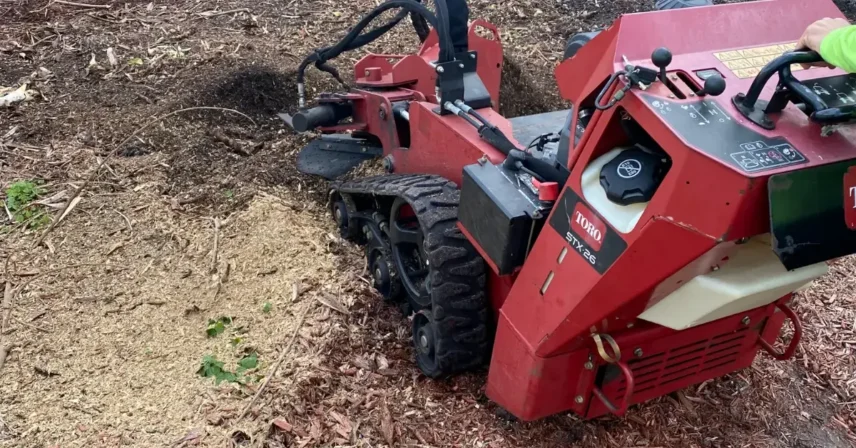 Forestry Mulching in Tampa Bay - The Modern Land Clearing Solution