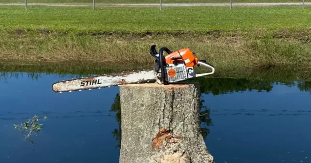 Wetland Considerations When Clearing Land in Florida