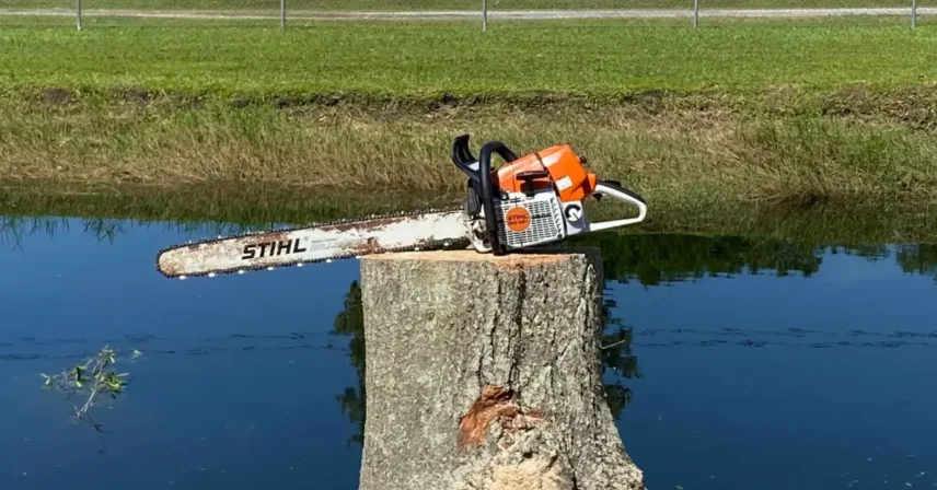 Drought Stress and Proper Watering for Central Florida Trees
