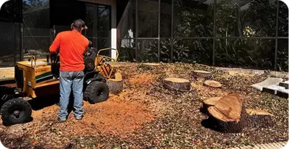 Stump Grinding & Removal