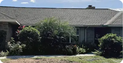 Shrub Trimming & Removal