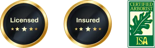 Licensed - Insured - ISA Certified Arborist