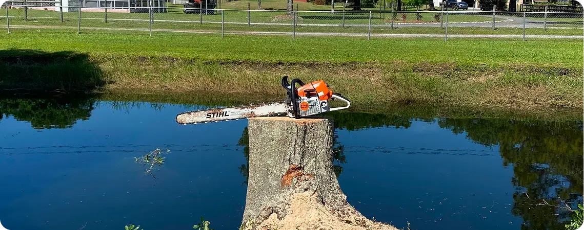 Service Area Wesley Chapel