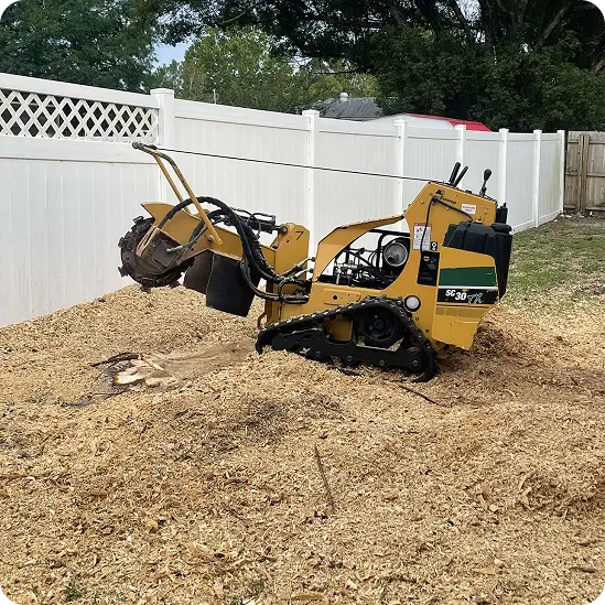 Service Area Wesley Chapel