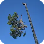 Near Downtown New Port Richey